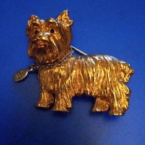 Gold Dog Clothing Accessory with Wavy Coat